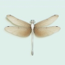 Nature 2.0 DragonFly1